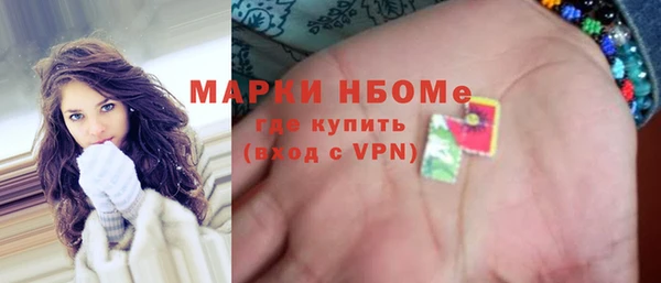 ГАЛЛЮЦИНОГЕННЫЕ ГРИБЫ Инсар