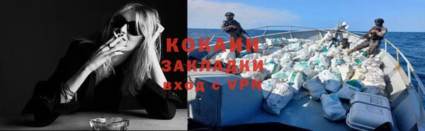 молекула духа Бронницы